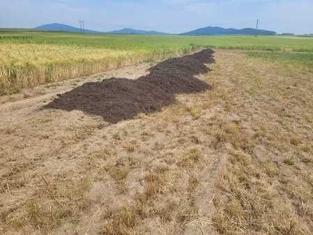 Kruszywa ,ziemia , transport Świdnica i okolice