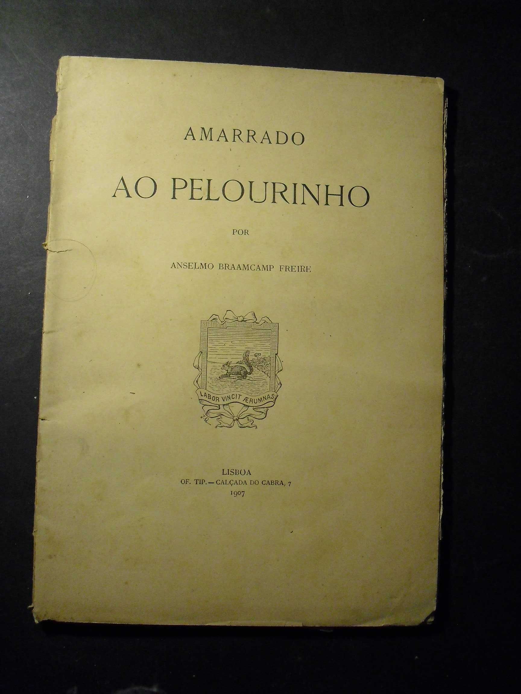 Freire (Anselmo Braacamp);Amarrado ao Pelourinho;