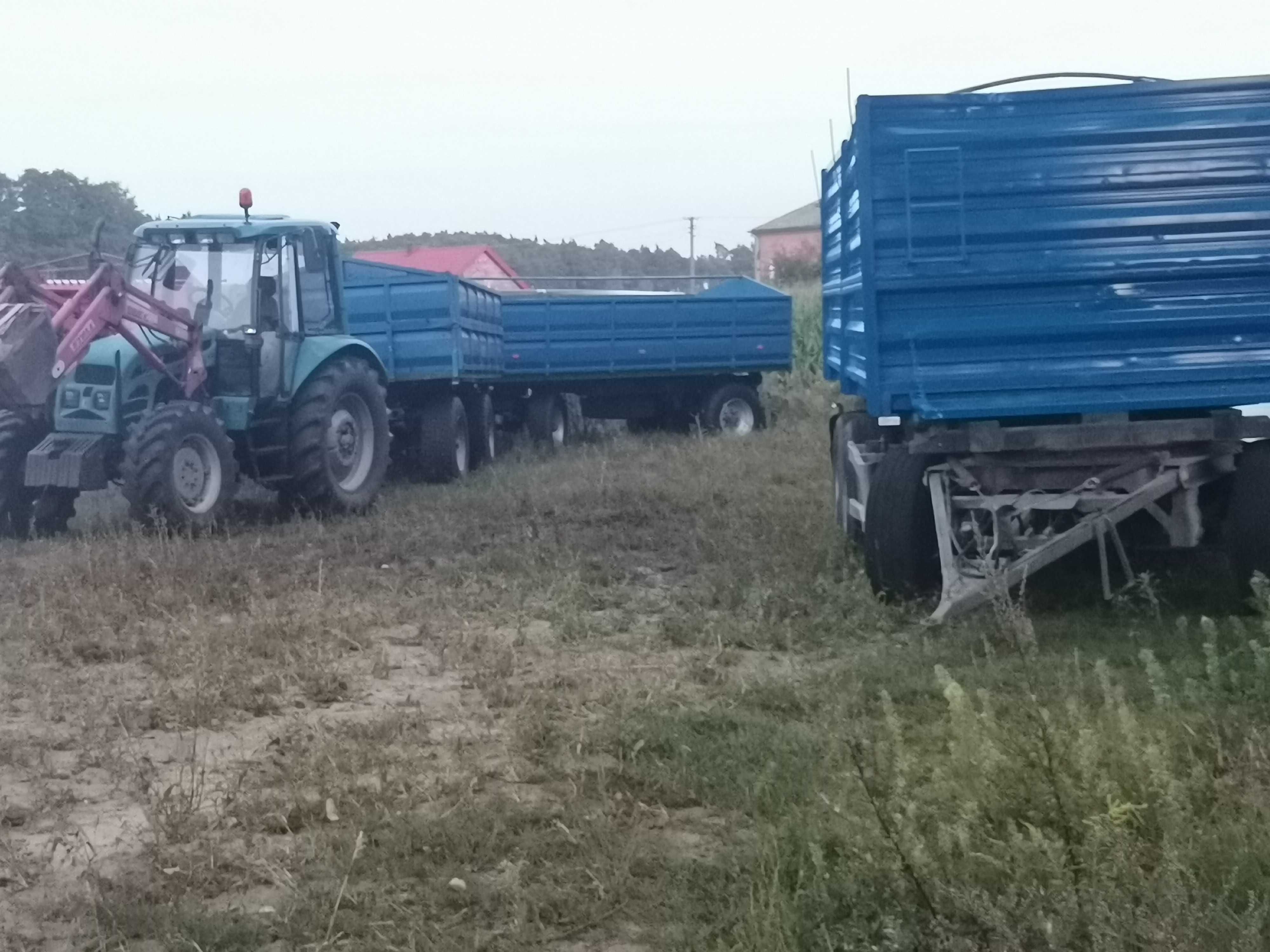 Koszenie zbóż, transport z pola do magazynu/skupu sypanie w bigbag