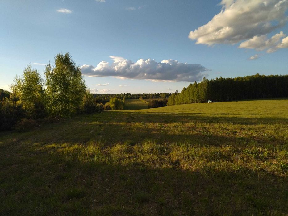 Działka rolna - przy drodze