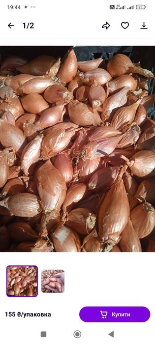 Продам цибулю корчуха