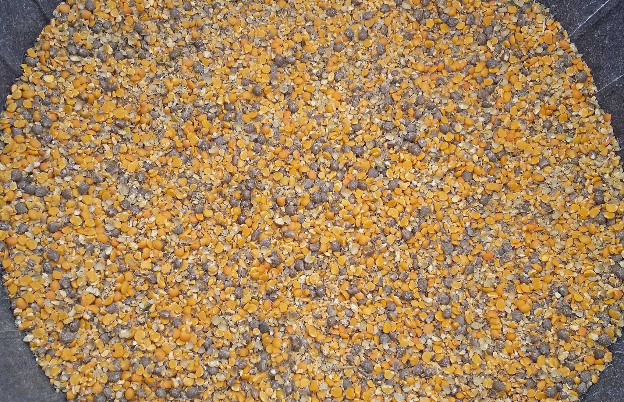 Pasza dla kur niosek 25 kg naturalna darmowa wysyłka