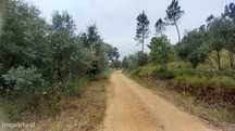Terreno  para venda