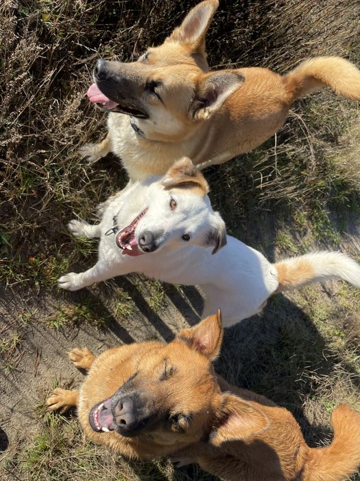 Белла шукає свою родину