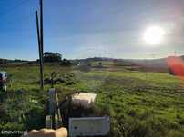 Terreno  para venda