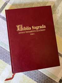 Bíblia sagrada antigo testamento tomo I