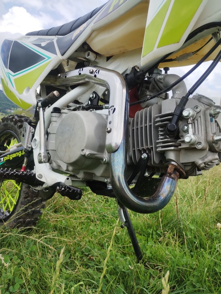 Pit gang 140cc xd