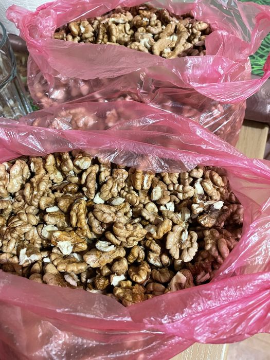 Орехи Грецкие домашние 2025 год