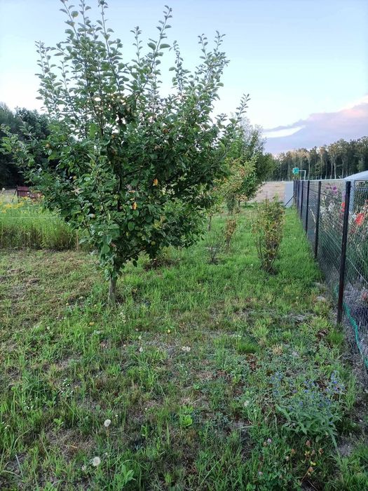 Działka budowlana ul.Kalinowa