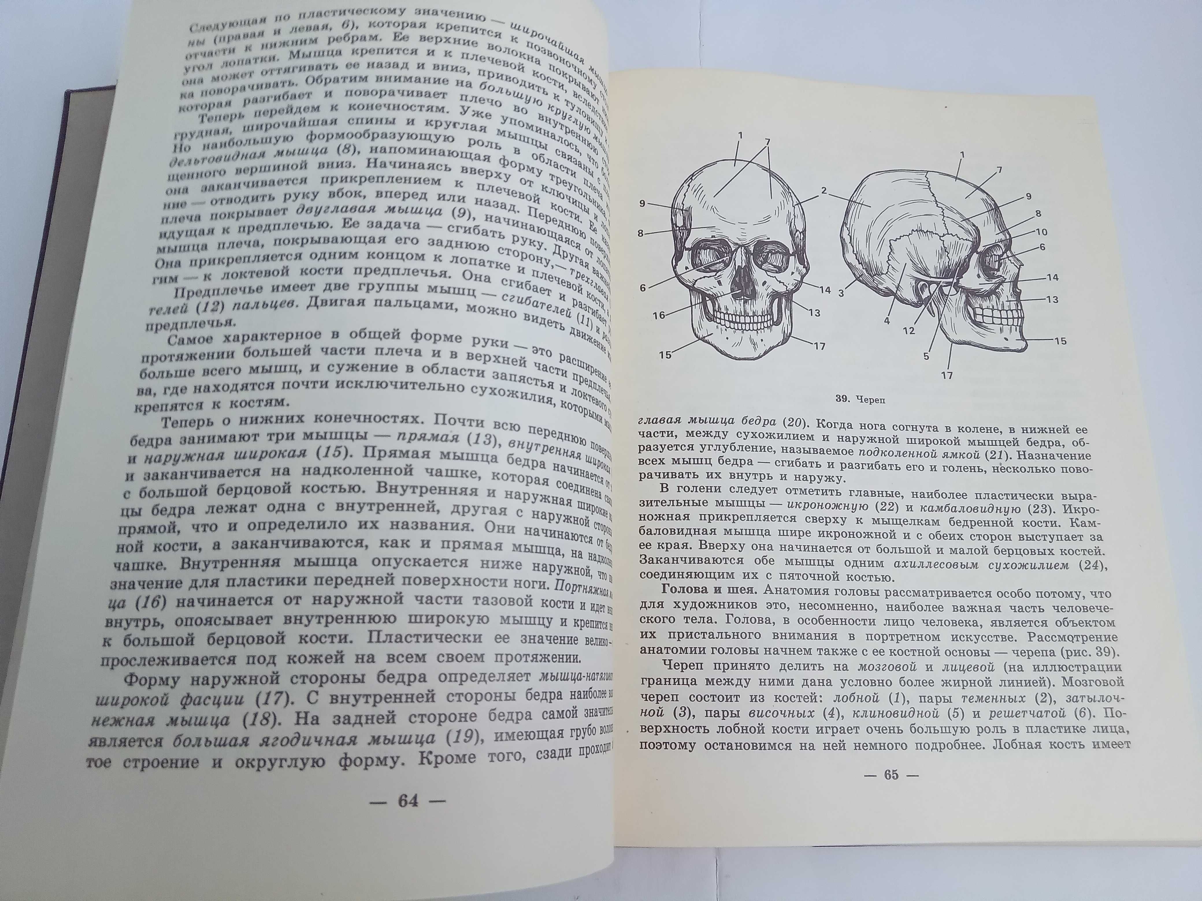 Щипанов А.С. Юным любителям кисти и резца. Для учащихся ст.классов.