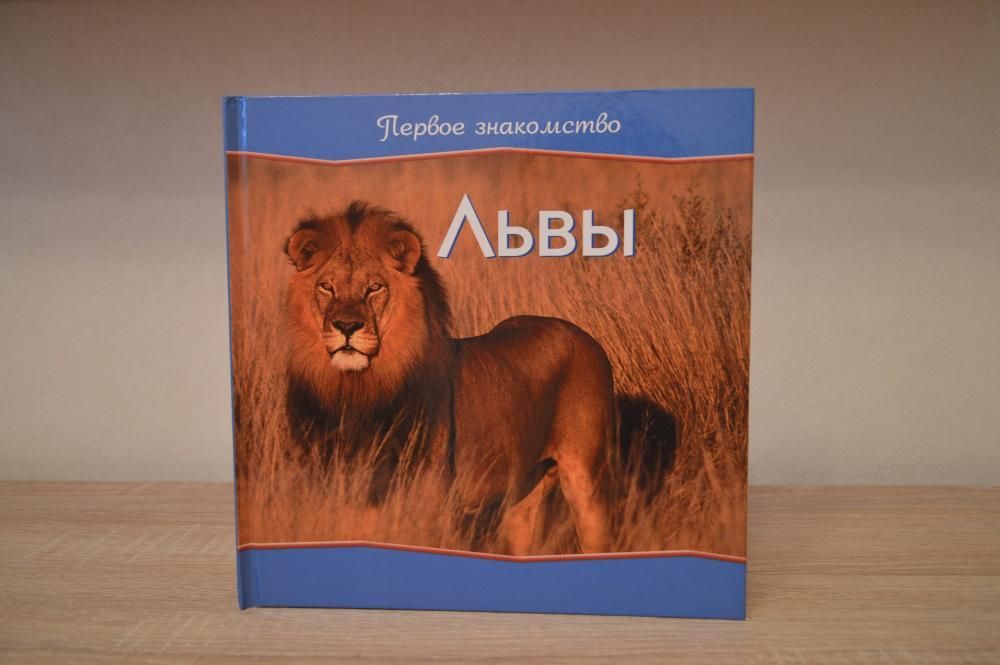 Детская книга "Львы. Первое знакомство"