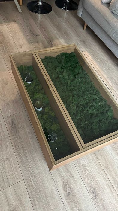 stolik do salonu z mchem chrobotkiem