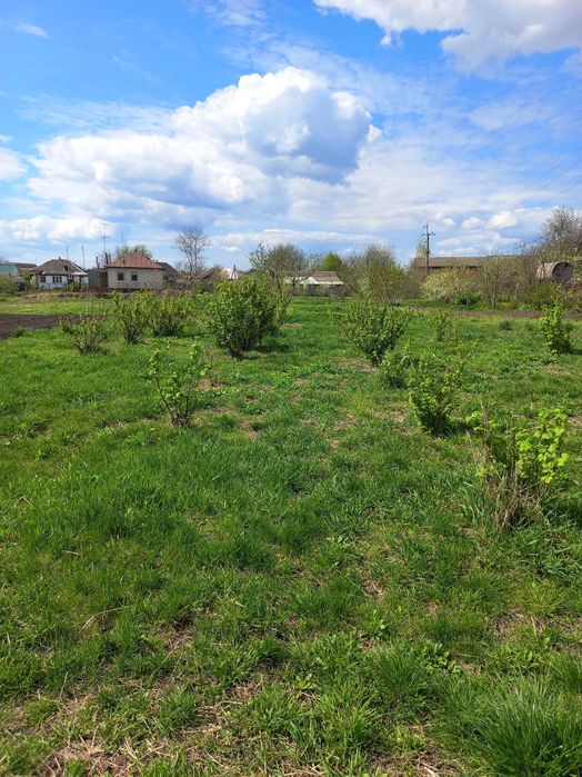 Земельна ділянка 6,5 соток