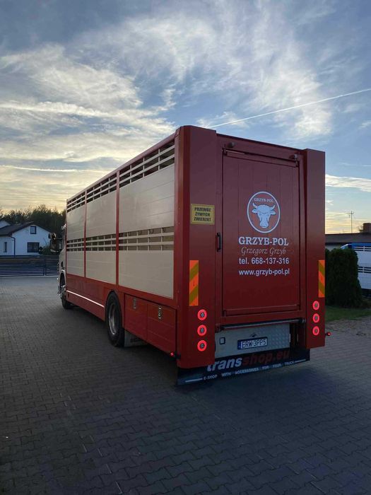 Scania p230 do przewozu zwierząt bydła żywca zabudowa waga