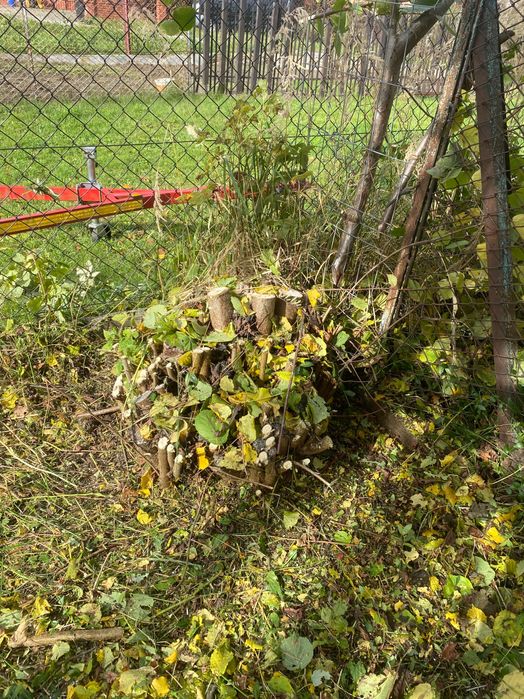 Koszenie działek, wycinka drzew, zarośli, prace porzadkowe itp.