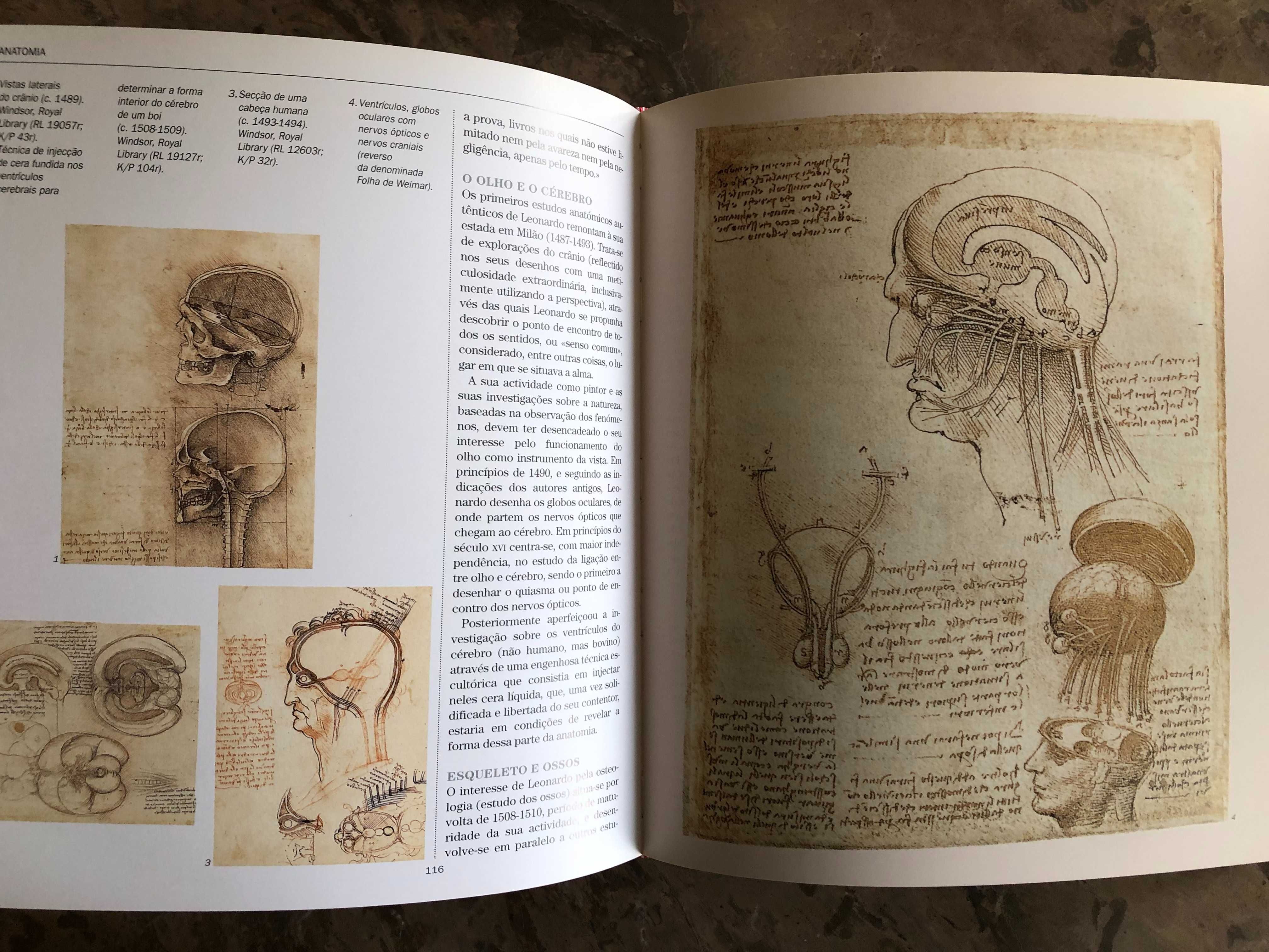 Atlas Ilustrado de Leonardo Da Vinci