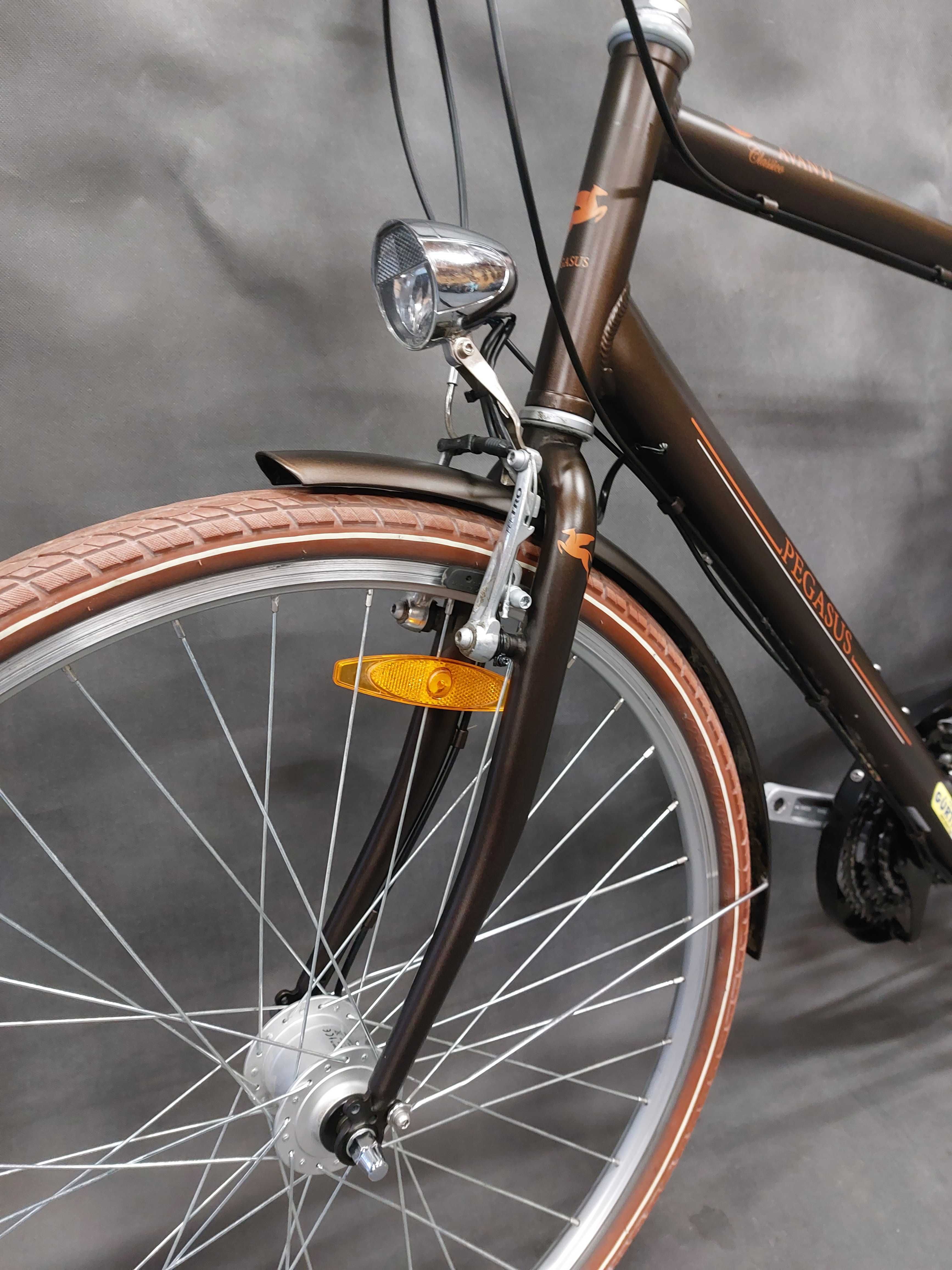 Rower Pegasus Avanti_28"_Shimano_Nexus