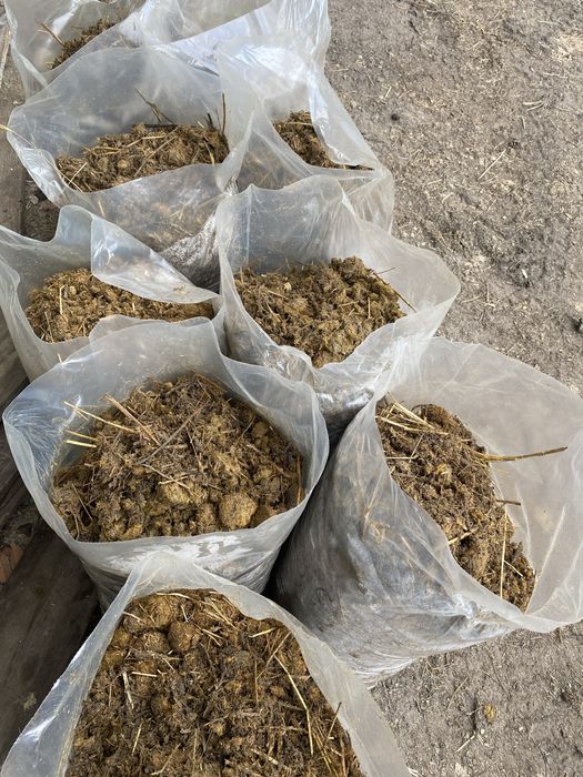 Sprzedam obornik koński workowany naturalny nawóz