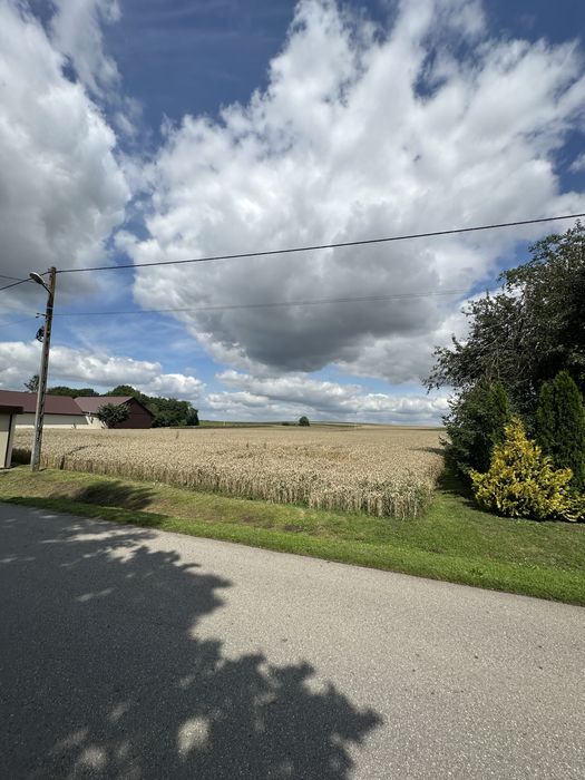 Sprzedam działki budowlane 8-12 ar