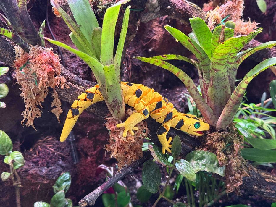 Gekon Segmentowy 3D – elastyczny, ruchoma zabawka, ozdoba terrarium