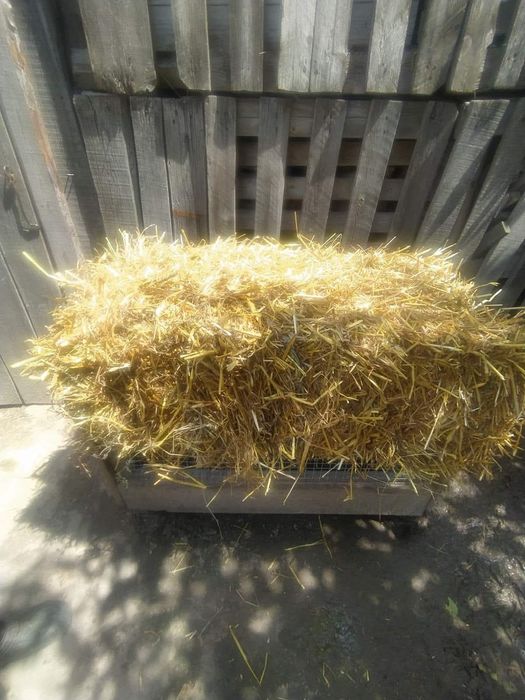Продам солому в тюках(сіно)