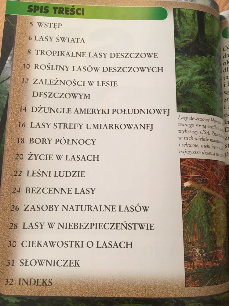 Akta ziemi lasy