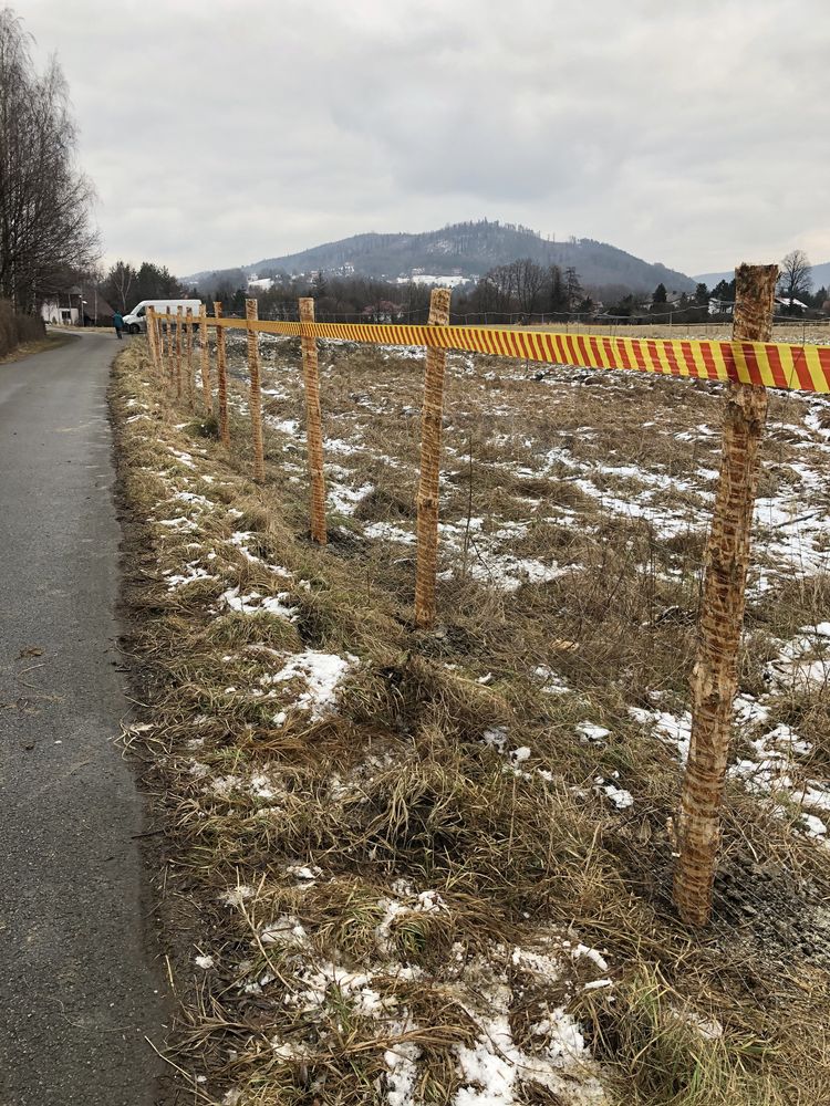 Ogrodzenie tymczasowe siatka leśna stemple ogrodzenie budowlane płot