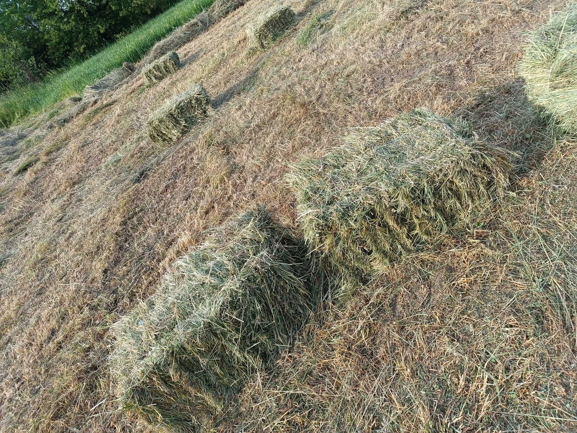 Продам сіно в тюках