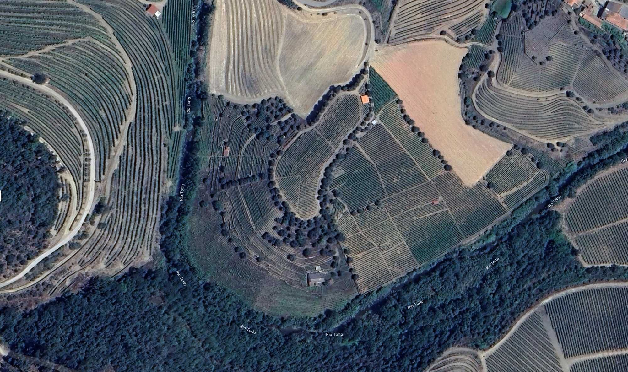 Quinta ou Casa com terreno Vinhas e Oliveiras