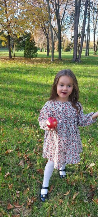 сукня Zara 3-4роки 104см