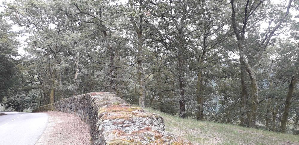 Propriedade com ca. 5 ha em Vieira do Minho