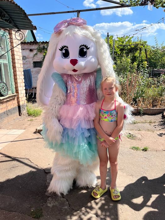 Кривий Ріг пес патрон, мішка, зайка, стіч, скай, гонщік