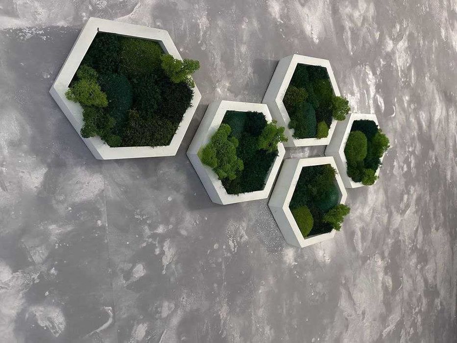 Мох у сотах, соти з мохом,декор з моху, стабілізований мох