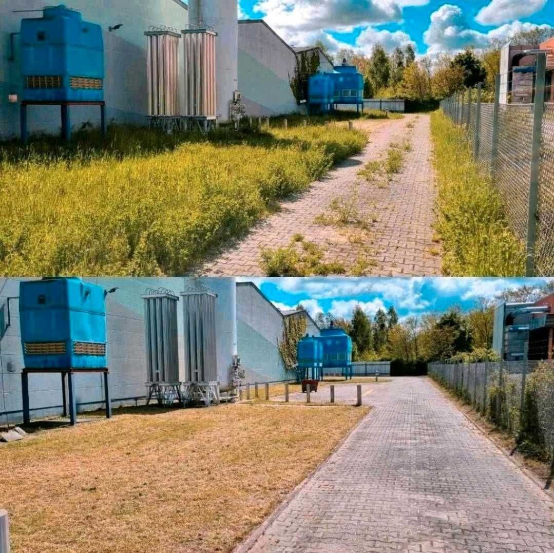 DOBRA ZIEMIA OGRODNICZA Ogrodowa Przesana OGRODNIK Zakładanie trawnika