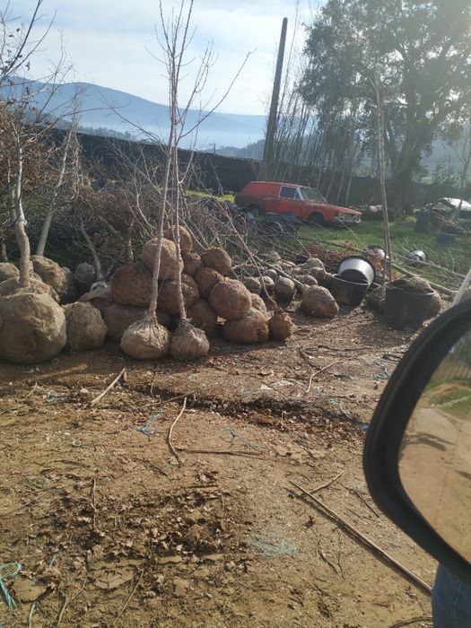 Serapilheira em rolos para jardinagem e viveiros de plantas