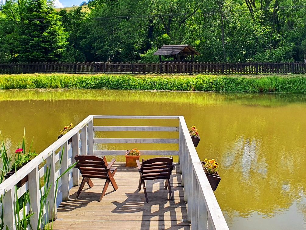 Domek Bieszczady Góry Staw Wędkowanie