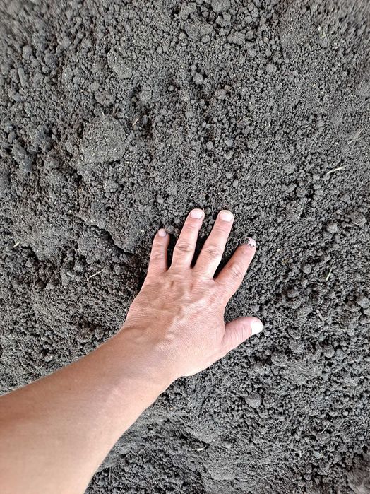 Ziemia ogrodowa siana, humus, czarnoziem, pod trawnik, pod warzywa