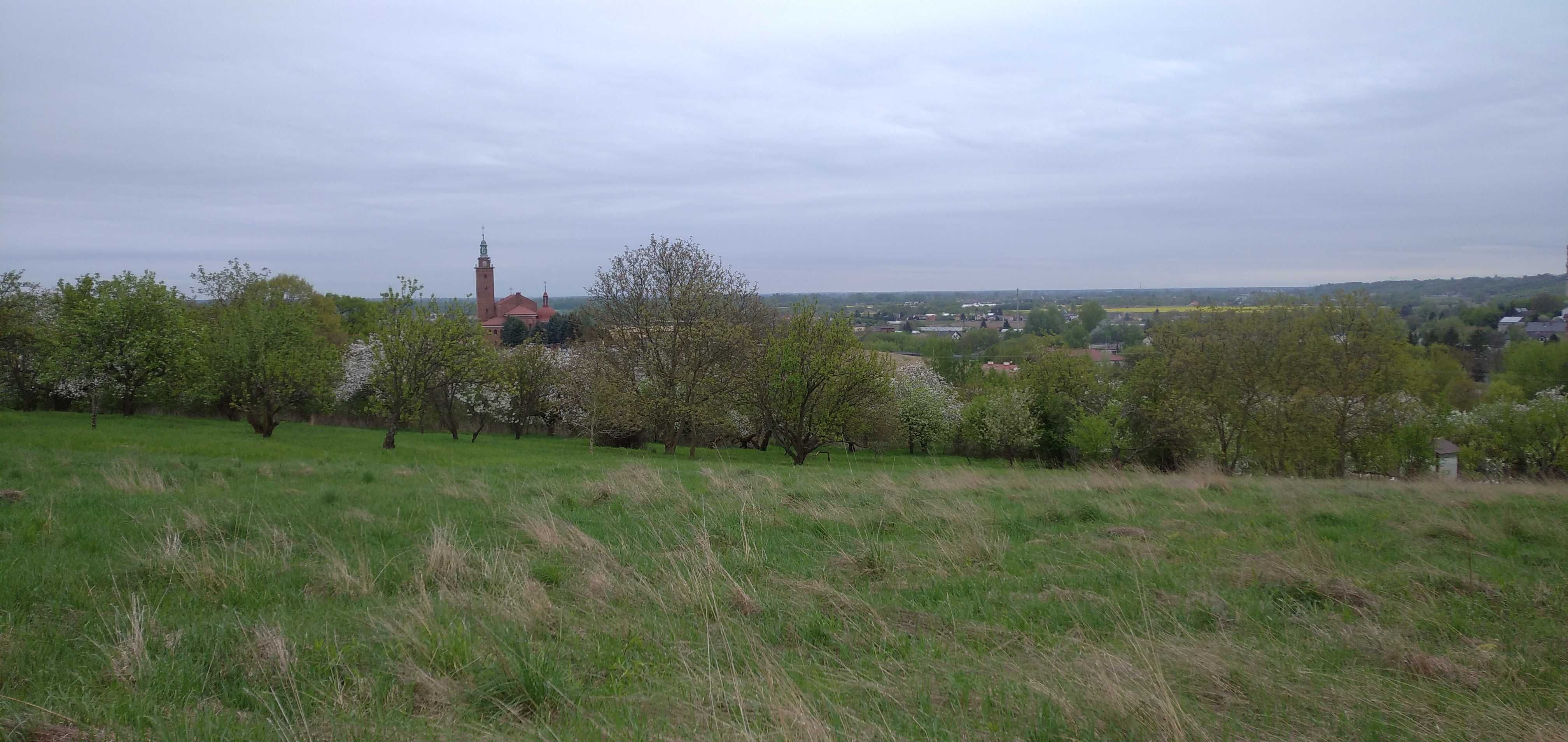 Działka panoramiczna rolna z warunkami zabudowy