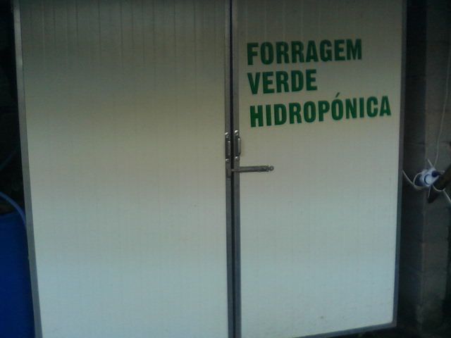 Sistema de produção de FVH ( forragem hidroponica para gado )