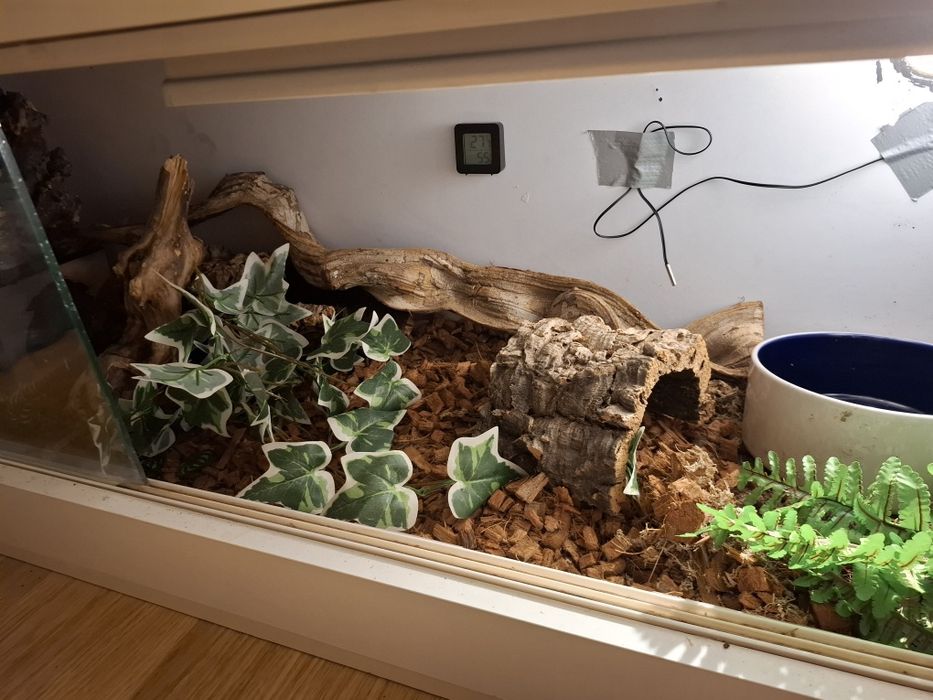 Terrarium 120x40x40 wyposażone dla weza i innych