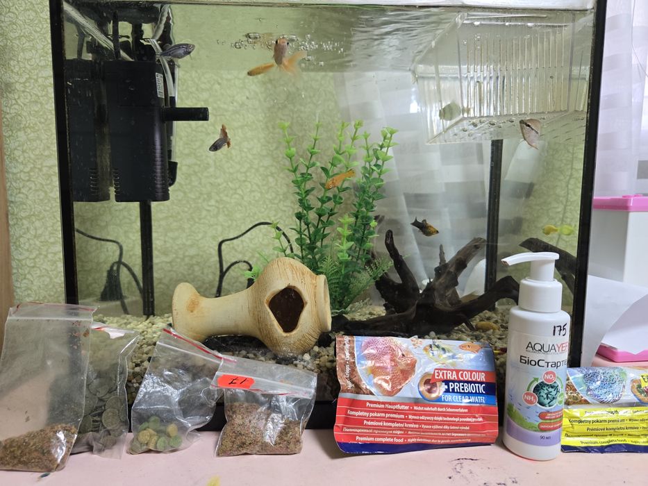 Акваріум з рибками.ПОВНИЙ КОМПЛЕКТ!