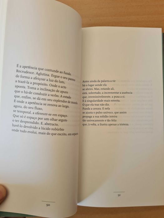 Livro "Introdução à Poesia" de Fernando Echevarría