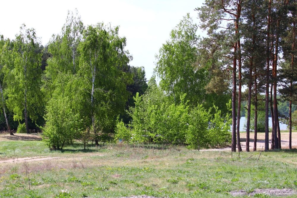 Domek nad zalewem Chańcza, blisko brzegu.
