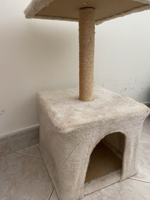 Casinha para gato animais pets