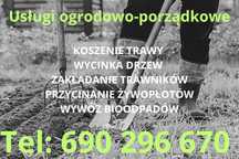 Koszenie trawy Wycinka drzew Zakładanie trawników Przycinanie żywopłot