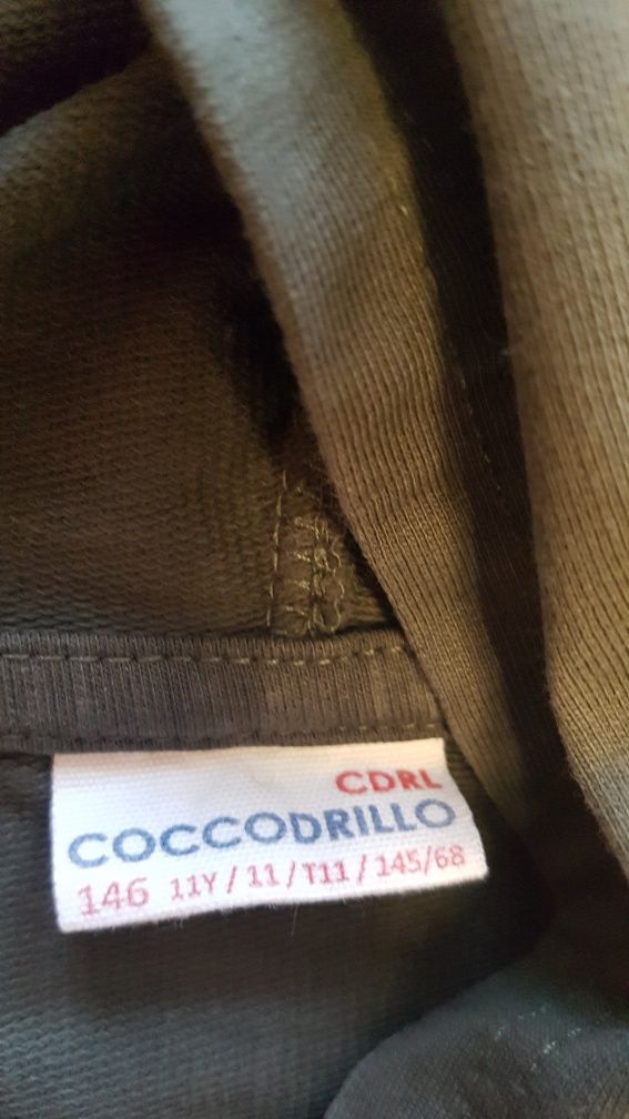 Dres Coccodrillo dla  chłopca rozm. 146 cm