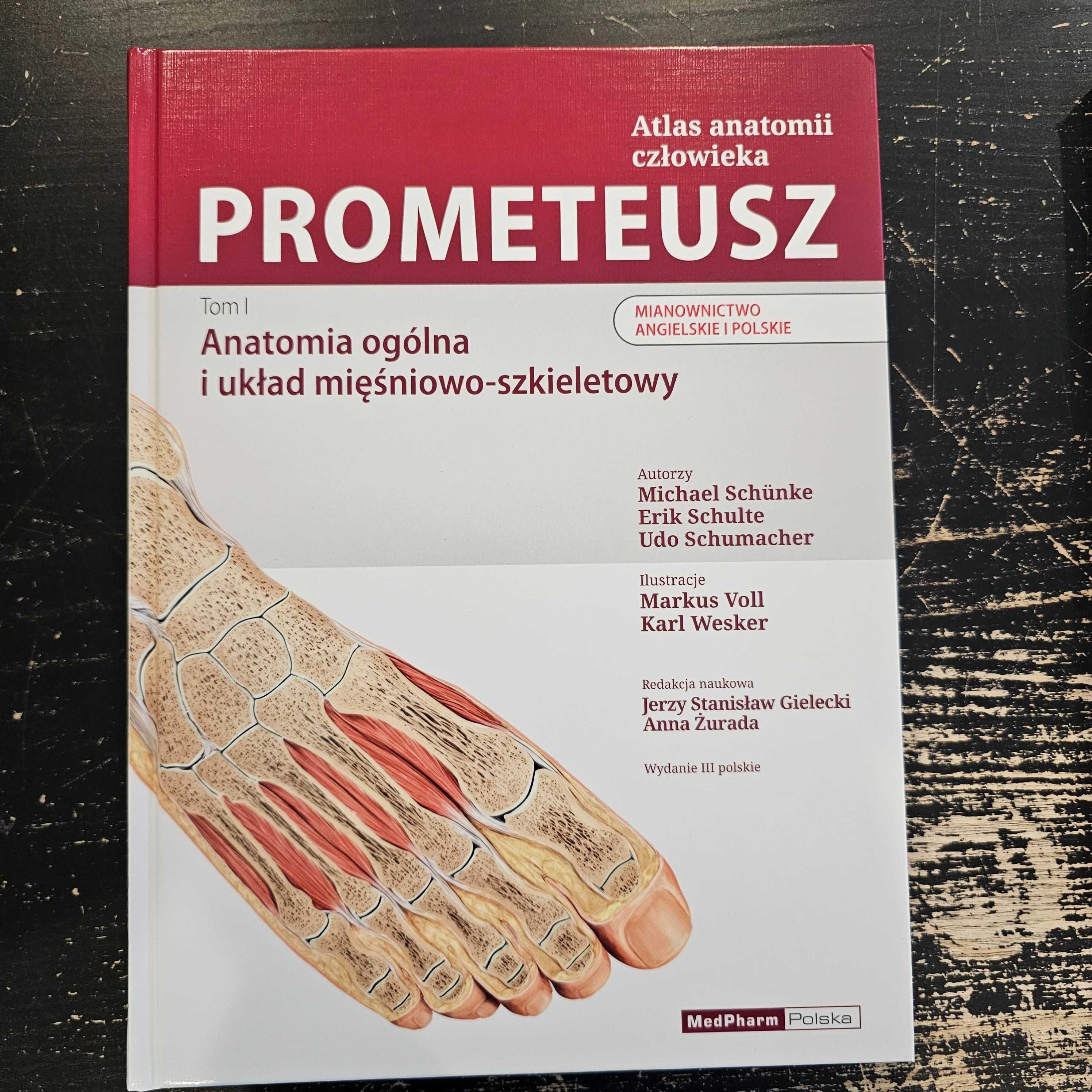 Atlas Anatomii Prometeusz - komplet, mianownictwo angielskie