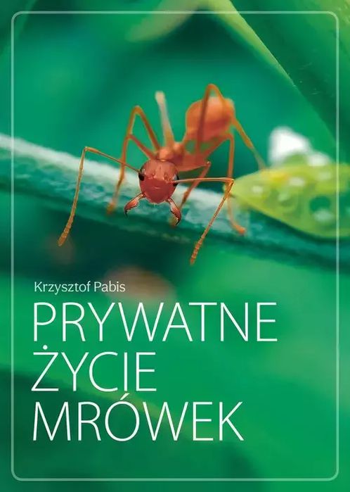 Prywatne życie mrówek. Ringier Axel Springer Polska