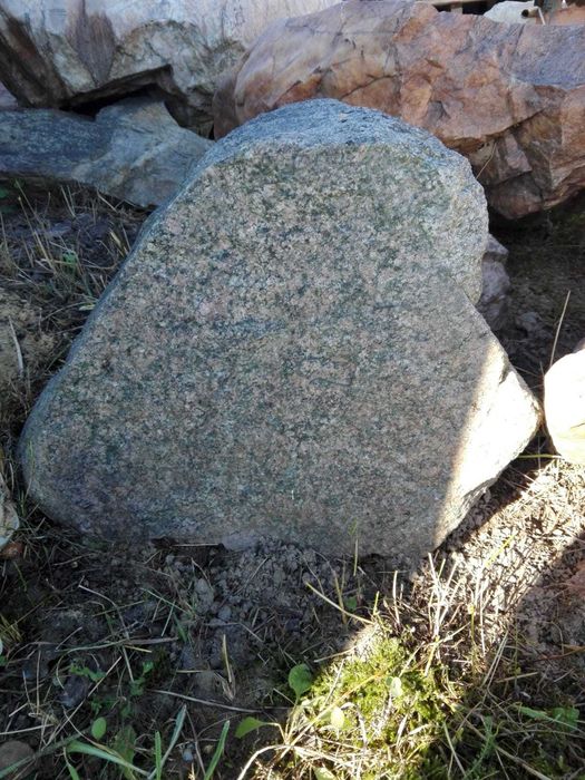 Kamień ogrodowy 300zł za sztukę.