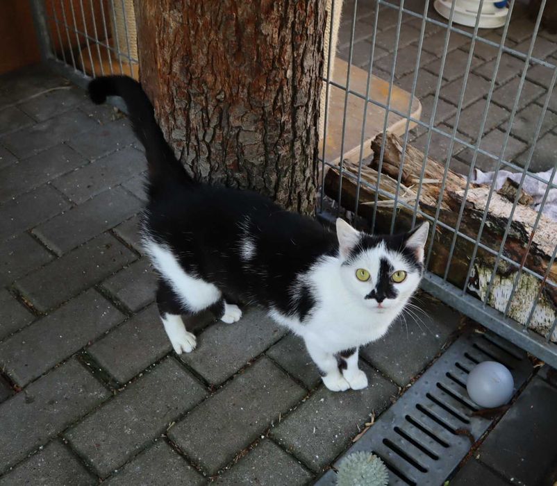 Szprotka czeka na dom...